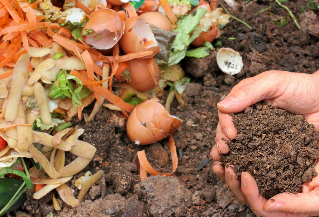 Composting Christmas Leftovers